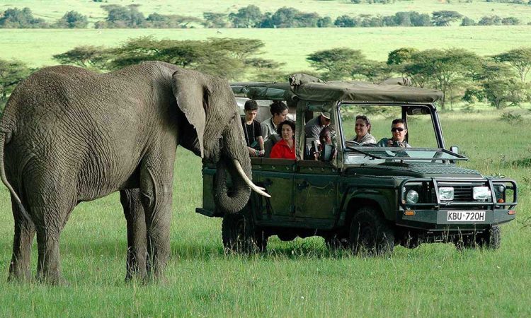 Discover Kenya Differently with Elva Africa Safaris